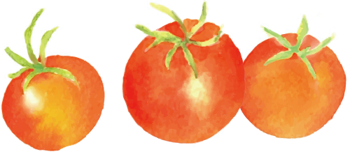 こでら農園 小さなトマトに大きな愛を込めて 岐阜県海津市